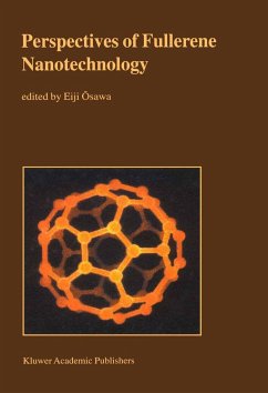 Perspectives of Fullerene Nanotechnology - Osawa, Eiji (Hrsg.)