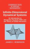 Infinite-Dimensional Dynamical Systems