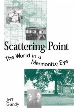 Scattering Point: The World in a Mennonite Eye - Gundy, Jeff