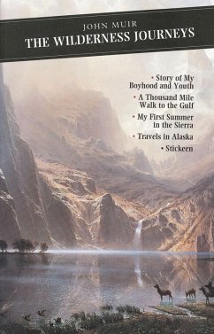 Cover The Wilderness Journeys