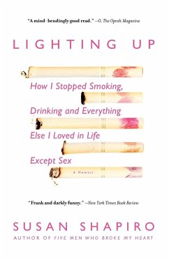 Lighting Up - Shapiro, Susan