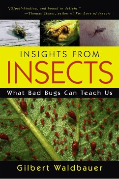 Insights from Insects - Waldbauer, Gilbert