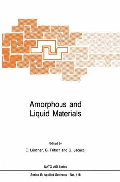 Amorphous and Liquid Materials - Lüscher, E. / Fritsch, G. / Jacucci, Gianni (Hgg.)
