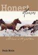 Honest Horses: Wild Horses in the Great... - Bild 1