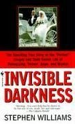 Invisible Darkness - Williams, Stephen