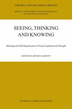 Seeing, Thinking and Knowing - Carsetti, A. (Hrsg.)