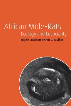 African Mole-Rats - Bennett, Nigel C.; Faulkes, Chris G.