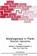 Morphogenesis in Plants - Bild 1