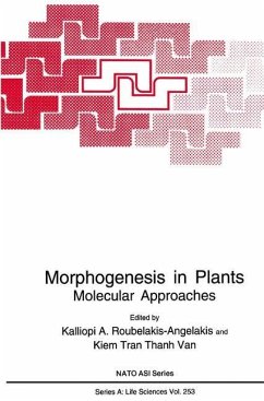 Morphogenesis in Plants - Roubelakis-Angelakis, Kalliopi A. / Kiem Tran Thanh Van (Hgg.)