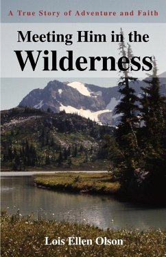 Meeting Him in the Wilderness - Olson, Lois E