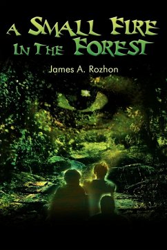 A Small Fire in the Forest - Rozhon, James