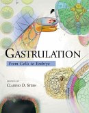 Gastrulation: From Cells to Embryo