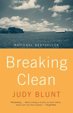 Breaking Clean - Blunt, Judy