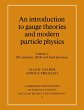 An Introduction to Gauge Theories and... - Bild 1