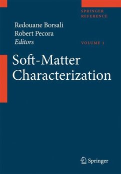 Soft-Matter Characterization - Borsali, Redouane / Pecora, Robert (eds.)