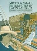 Micro- And Small Enterprises in Latin America: Experience of Business Development Services