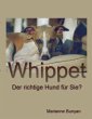Whippet - Bild 1