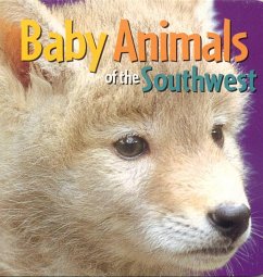 Cover Baby Animals of the Southwest