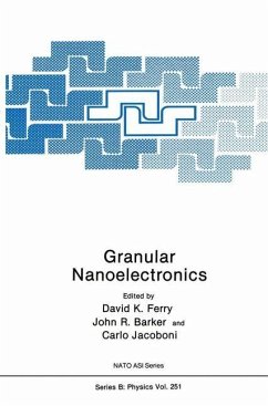 Granular Nanoelectronics - Ferry, David K. / Barker, John R. / Jacoboni, Carlo (Hgg.)