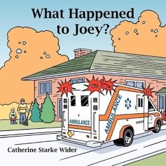 What Happened to Joey? - Wider, Catherine Starke