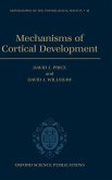 Mechanisms of Cortical Development