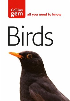 Birds - Flegg, Jim