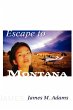 Escape to Montana - Bild 1
