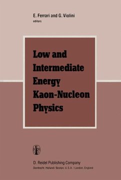 Low and Intermediate Energy Kaon-Nucleon Physics - Ferrari, E. / Violini, G. (Hgg.)