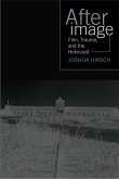 Afterimage: Film, Trauma, and the Holocaust
