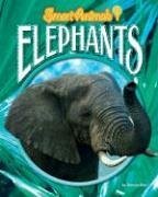 Elephants - Searl, Duncan