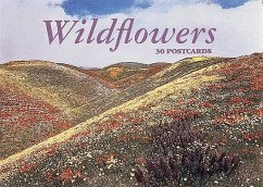 Wildflowers - Abbeville Gifts