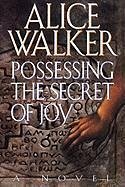 Possessing the Secret of Joy - Walker, Alice