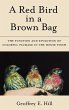 A Red Bird in a Brown Bag - Bild 1