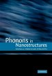 Phonons in Nanostructures - Bild 1