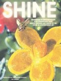 Shine: Wishful Fantasies and Visions of the Future in Contemporary Art