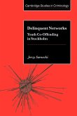 Delinquent Networks