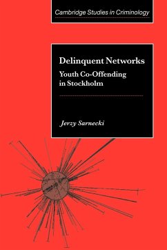 Delinquent Networks - Sarnecki, Jerzy; Jerzy, Sarnecki