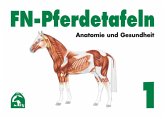 Anatomie und Gesundheit / FN-Pferdetafeln 1
