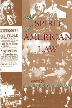 The Spirit Of American Law Cover The Spirit Of American Law