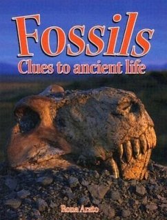 Fossils: Clues to Ancient Life - Arato, Rona