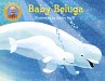 Baby Beluga - Bild 1