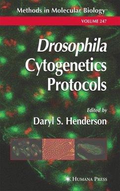 Drosophila Cytogenetics Protocols - Henderson, Daryl