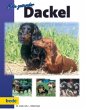 Mein gesunder Dackel - Bild 1