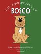 The Adventures of Bosco - Bild 1