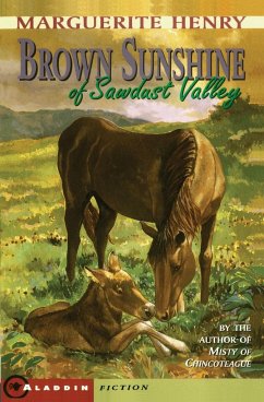 Brown Sunshine of Sawdust Valley - Henry, Marguerite