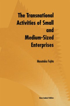 The Transnational Activities of Small and Medium-Sized Enterprises - Fujita, Masataka