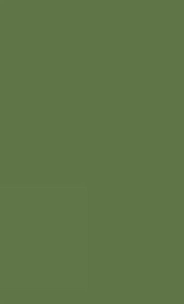 Bulgarian Communism Bulgarian Communism