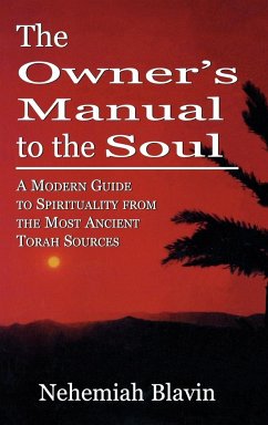 The Owner's Manual to the Soul - Blavin, Nehemiah