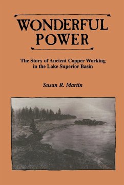 Wonderful Power - Martin, Susan R.