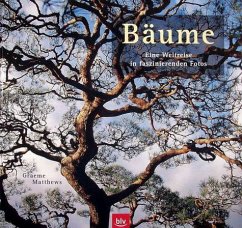 Bäume - Matthews, Graeme